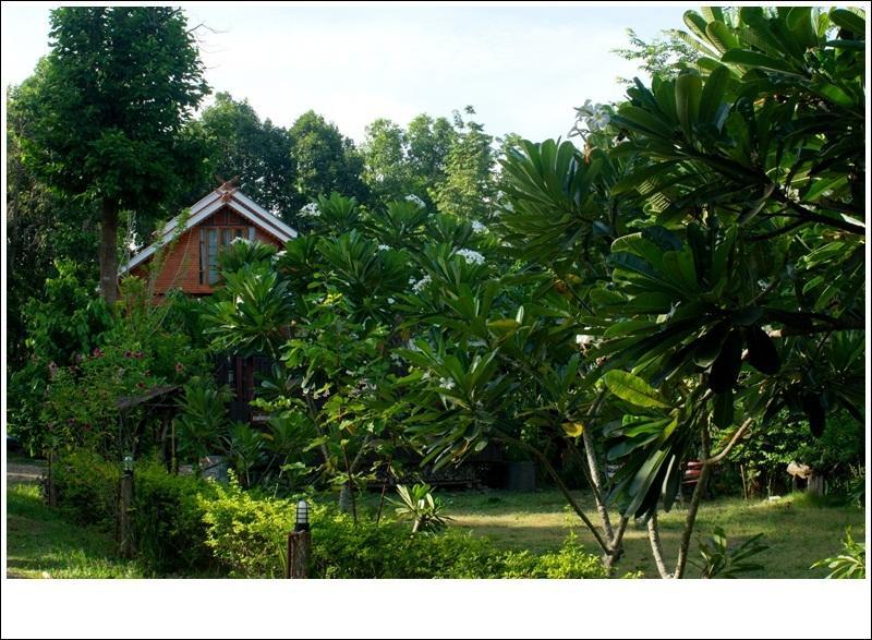 נאן Phuphiangkhiangfah Resort חדר תמונה